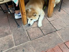 -半坡九号老挝冰咖啡