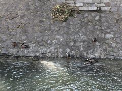 -钓鱼台国宾馆