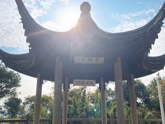 -苏州上方山国家森林公园