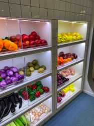 -MINI MARS KIDS CLUB亲子家庭中心(杨浦黄兴店)