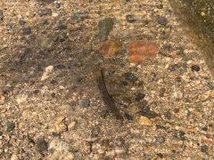 -碓臼峪自然风景区