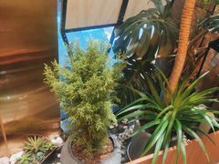 -半秋山西餐厅(襄阳万达店)