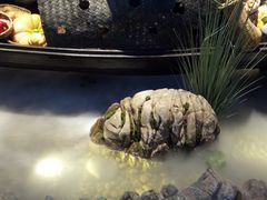 -兰木肆·云南菜(龙湖U城天街店)