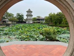 -厦门园林博览苑