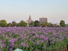 -杨波采耳修脚(天润城店)