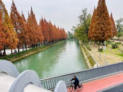 -蜀绣公园