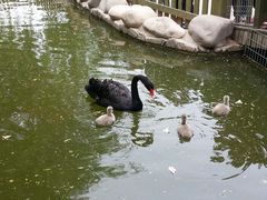 android_upload_pic-北京市海淀外国语实验学校