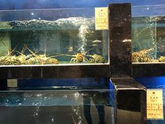 -鹏天阁酒楼·海鲜(红旗店)