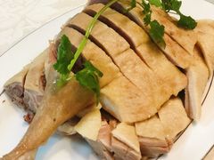 -丁老爷子苏香圆