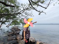 -宝安西湾红树林湿地公园