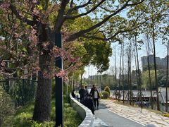 -新江湾城公园