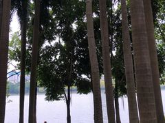 -南宁南湖公园