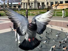 -加泰罗尼亚广场