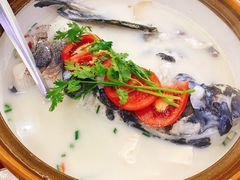 -全乐鱼馆·淳牌有机鱼直营店