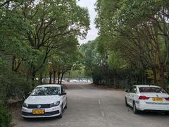-胜华驾校·小猫学车(银都店)