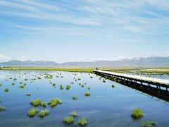 -花湖生态旅游区