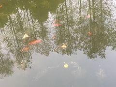 -人民公园-相亲角