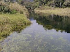 -海南热带雨林国家公园吊罗山景区