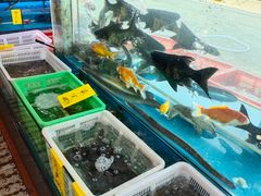 水产区-崖口红树林海鲜餐厅