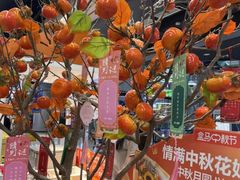 -盒马鲜生(宝地店)