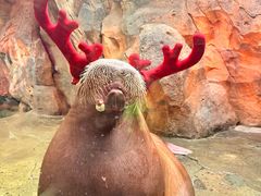 -波塞冬旅游度假区