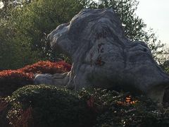 -桃花岛景观公园