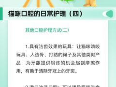 -瑞派申生动物医院·24H夜诊·国际动物医疗中心·骨外科(吴中路店)