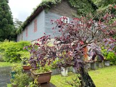 -庐山风景区花径公园