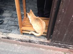 -沈从文故居