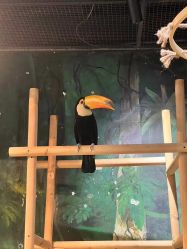 -Zoolung Zoolung动物主题公园(海信广场店)