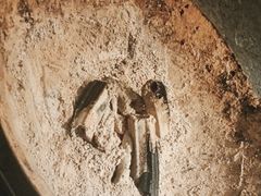 -金塔傣乡·德宏傣味·手抓饭·孔雀宴·云南民族特色菜(文化巷店)
