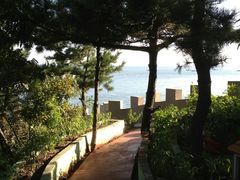 -神龙仙岛景区
