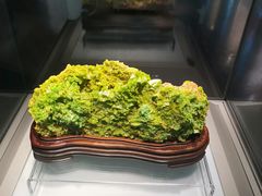 -安徽省地质博物馆