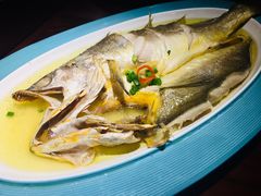 花雕醉黄鱼-寻宝记绍兴菜(鲁迅路店)