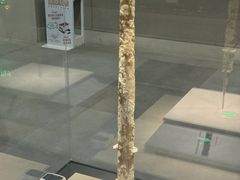 -古车博物馆