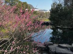 -杭州半山国家森林公园