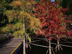 -玄武湖景区-情侣园游乐场