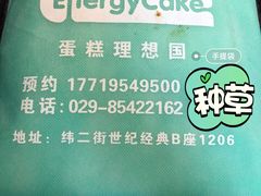 -EnergyCake蛋糕理想国