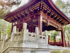 -汇龙潭