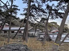 -阳台山自然风景区