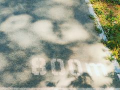 -汉石桥湿地公园