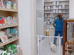 -四月宠物医院·猫专科·心脏专科·内科(转塘店)
