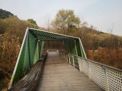 -西湖风景区-江洋畈生态公园
