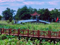 -洪湖生态旅游区