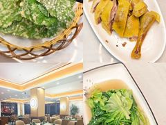 -紫藤园·天目湖大鱼头(南山竹海店)