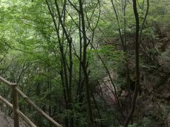 -孤山寨风景区