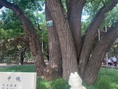 -秦始皇帝陵博物院(兵马俑)