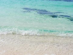 -三水森林公园