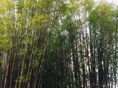 -新竹里馆·花园餐厅(兴苑路店)