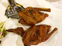 妙龄乳鸽-帝皇楼